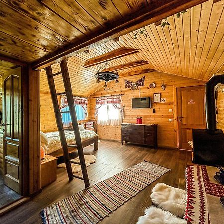 Chalets Du Bf Sighişoara Exterior foto