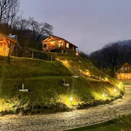 Chalets Du Bf Sighişoara Exterior foto