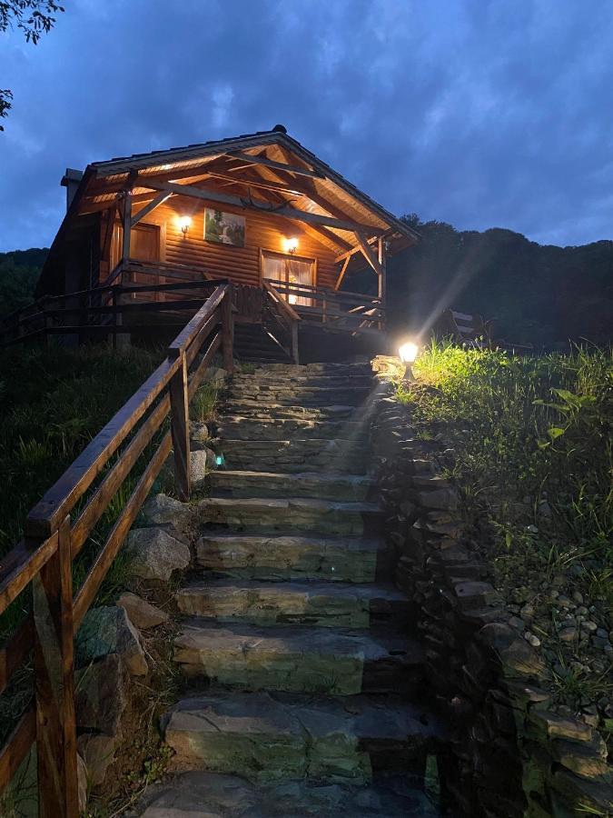 Chalets Du Bf Sighişoara Exterior foto